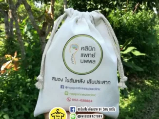 สกรีนกระเป๋าผ้า ถุงผ้า หมอนพพล เชียงราย สั่งทำตามออเดอร์